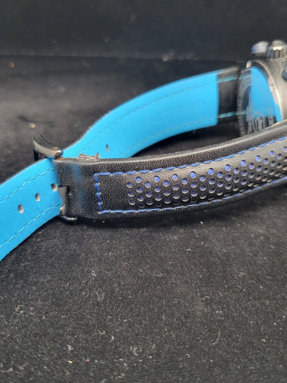 SHARK Sport Watch Black and Blue Chronograph - Japan Quartz Movement